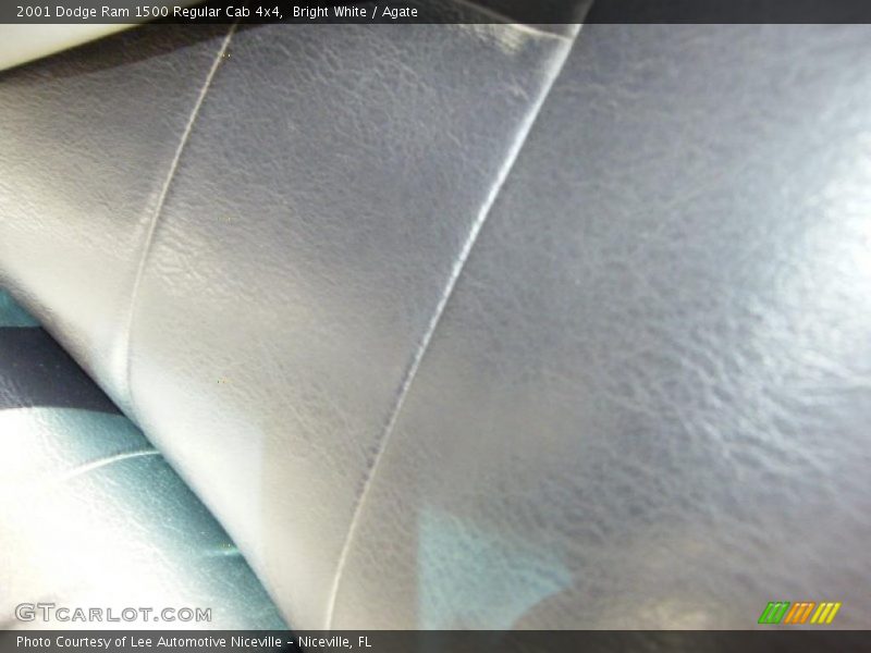 Bright White / Agate 2001 Dodge Ram 1500 Regular Cab 4x4