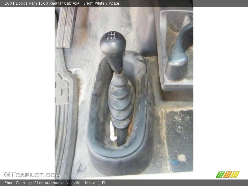 Bright White / Agate 2001 Dodge Ram 1500 Regular Cab 4x4