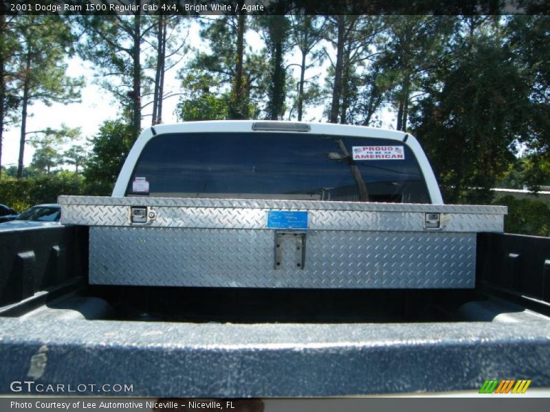 Bright White / Agate 2001 Dodge Ram 1500 Regular Cab 4x4