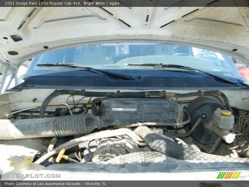 Bright White / Agate 2001 Dodge Ram 1500 Regular Cab 4x4