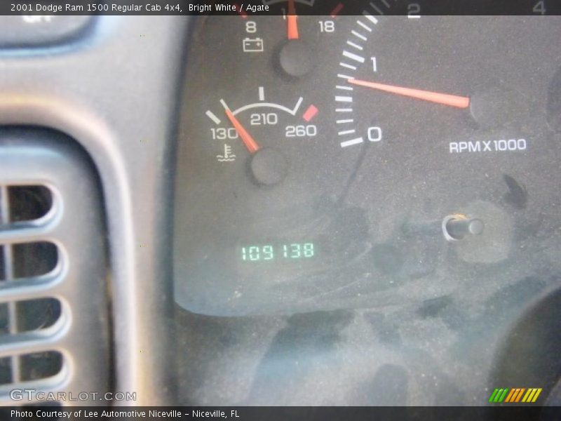 Bright White / Agate 2001 Dodge Ram 1500 Regular Cab 4x4