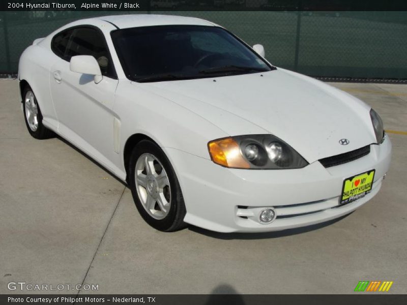 Front 3/4 View of 2004 Tiburon 