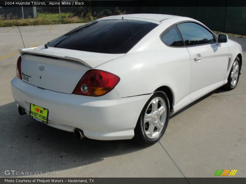 Alpine White / Black 2004 Hyundai Tiburon