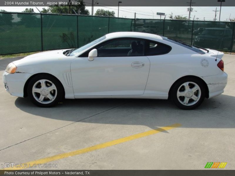 Alpine White / Black 2004 Hyundai Tiburon