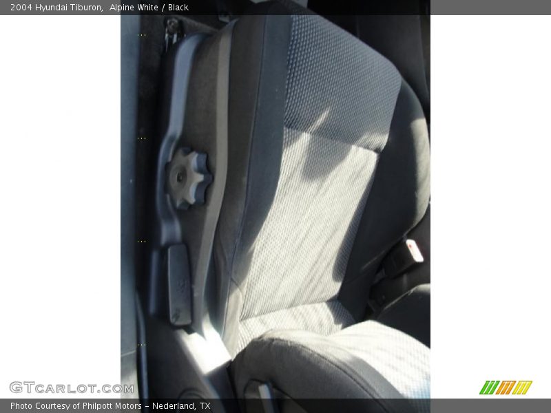 Alpine White / Black 2004 Hyundai Tiburon