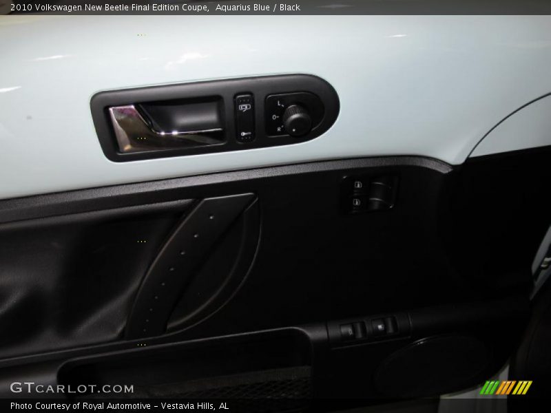 Door Panel of 2010 New Beetle Final Edition Coupe
