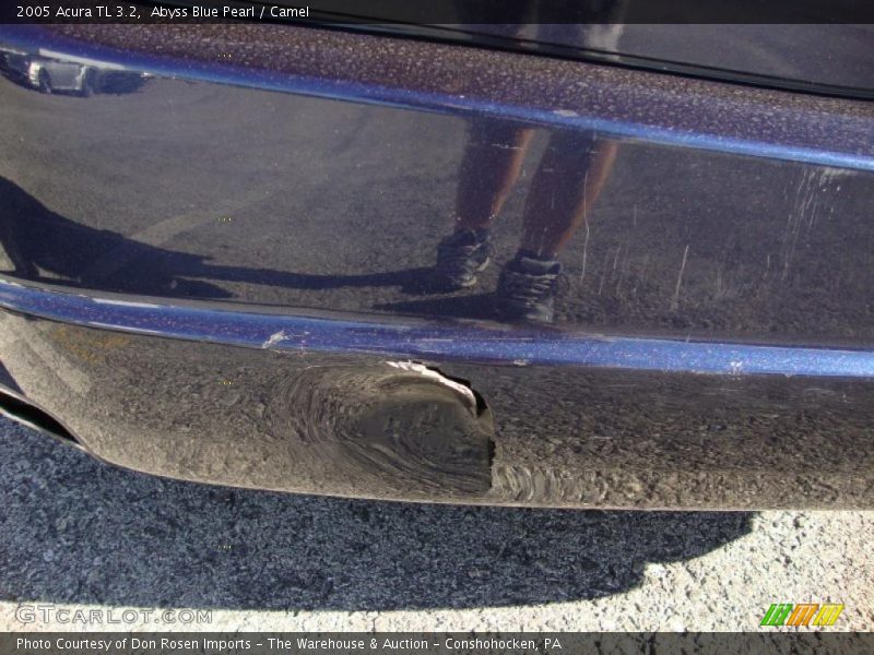 Abyss Blue Pearl / Camel 2005 Acura TL 3.2