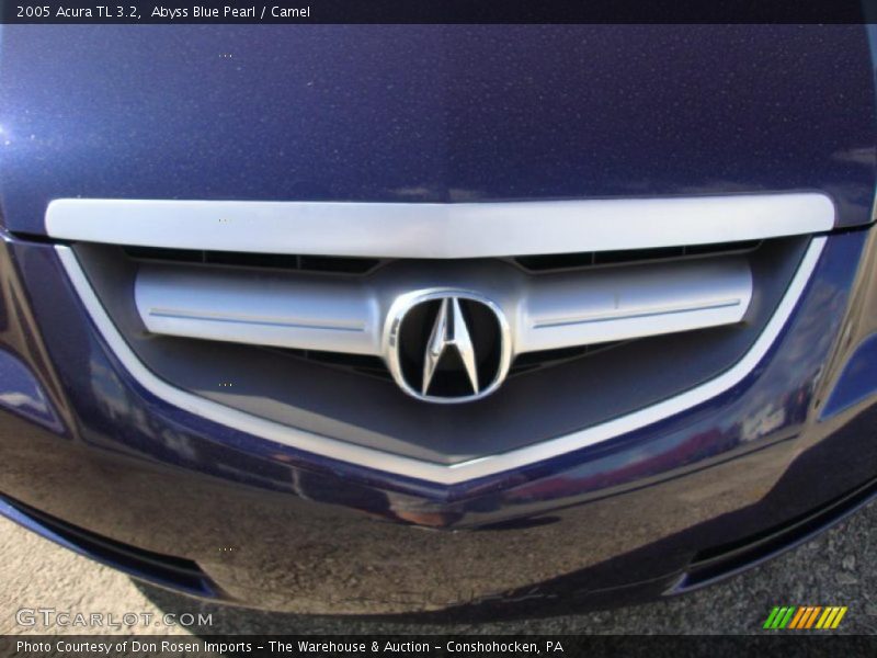 Abyss Blue Pearl / Camel 2005 Acura TL 3.2