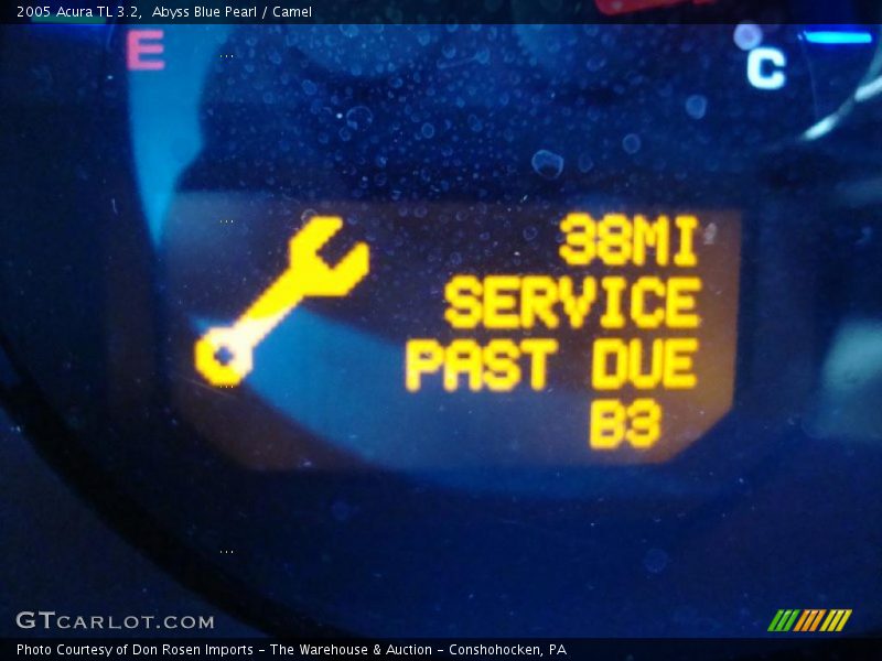 Abyss Blue Pearl / Camel 2005 Acura TL 3.2