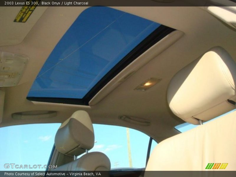 Black Onyx / Light Charcoal 2003 Lexus ES 300