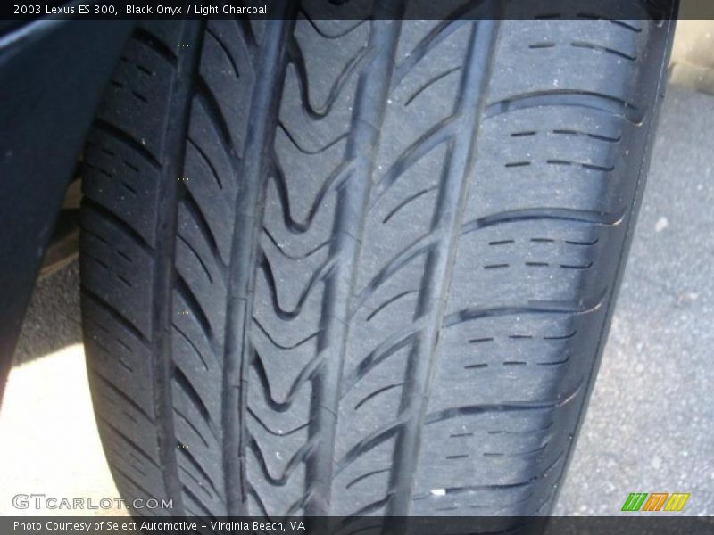 Black Onyx / Light Charcoal 2003 Lexus ES 300