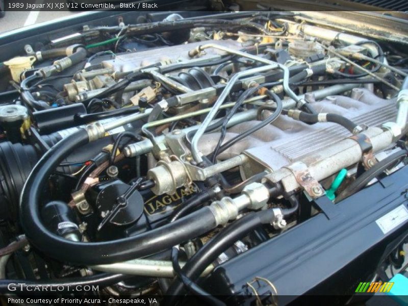  1989 XJ XJS V12 Convertible Engine - 5.3 Liter SOHC 24-Valve V12
