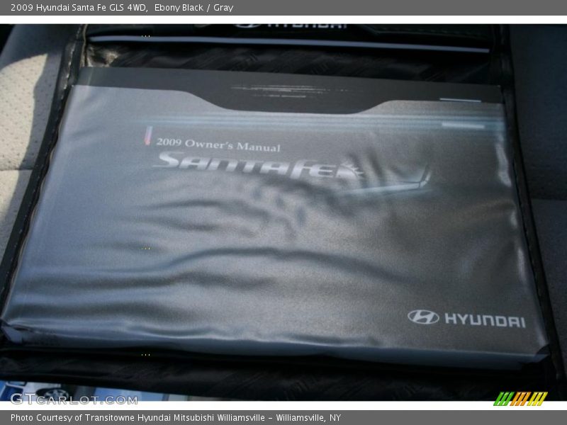 Ebony Black / Gray 2009 Hyundai Santa Fe GLS 4WD