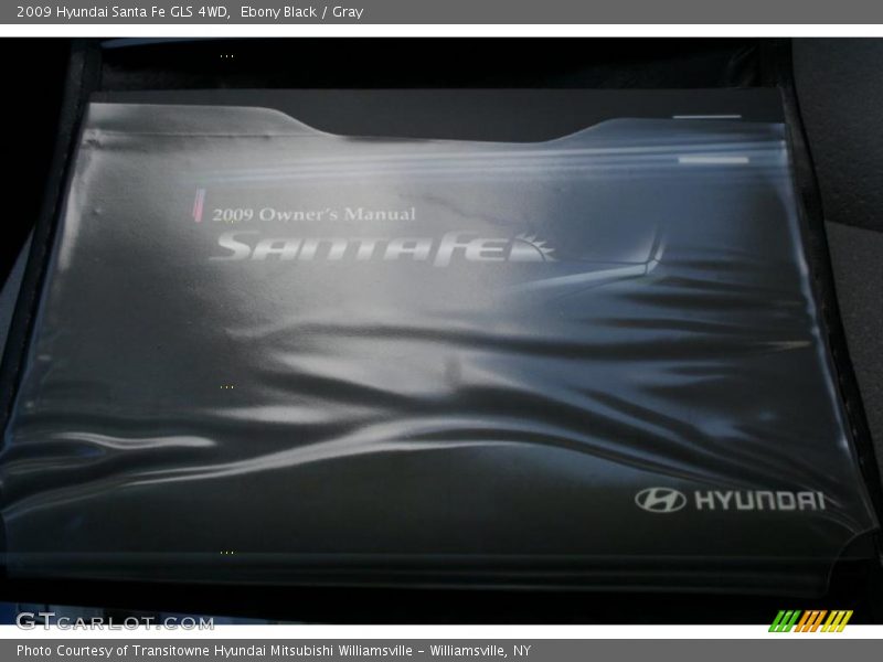 Ebony Black / Gray 2009 Hyundai Santa Fe GLS 4WD