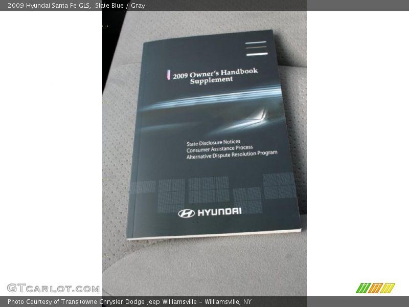 Slate Blue / Gray 2009 Hyundai Santa Fe GLS