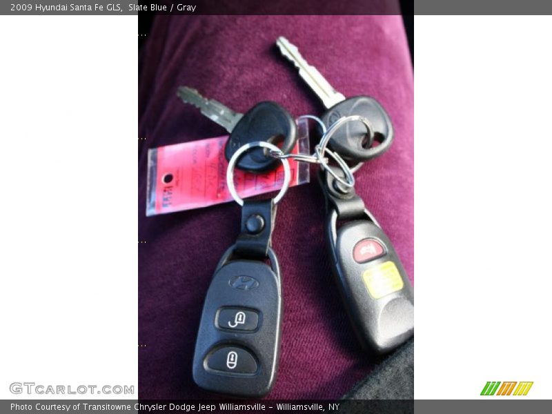 Slate Blue / Gray 2009 Hyundai Santa Fe GLS