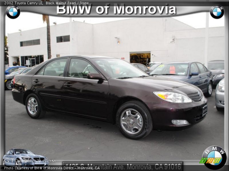 Black Walnut Pearl / Stone 2002 Toyota Camry LE