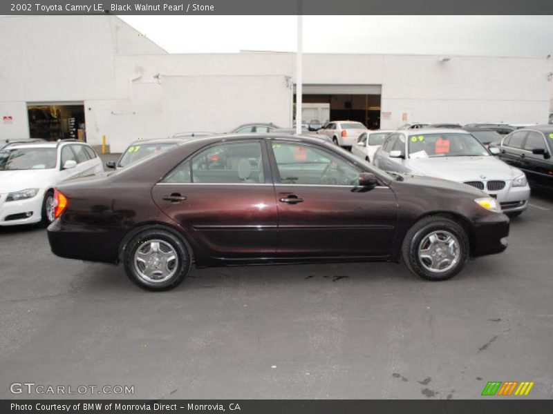 Black Walnut Pearl / Stone 2002 Toyota Camry LE