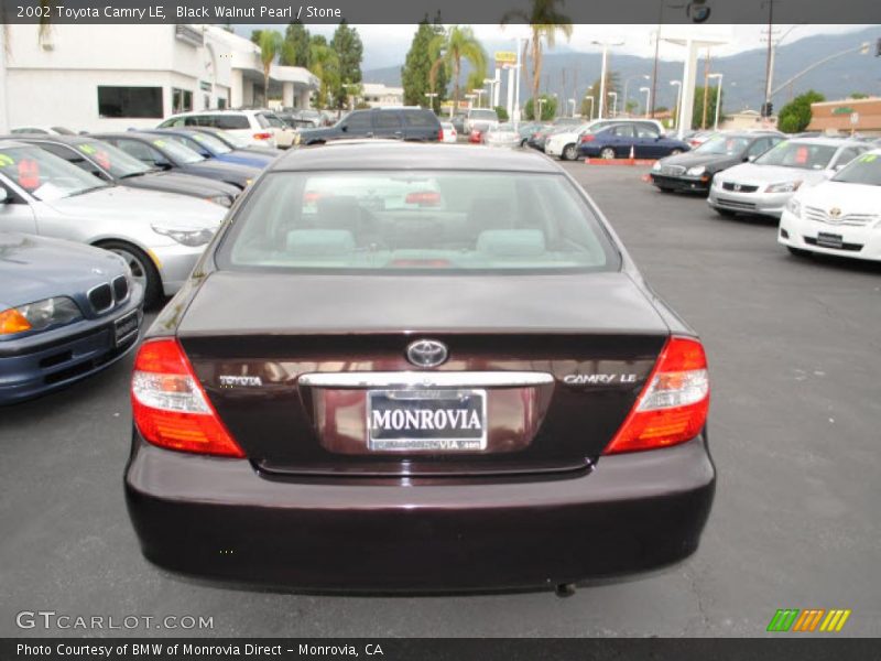 Black Walnut Pearl / Stone 2002 Toyota Camry LE