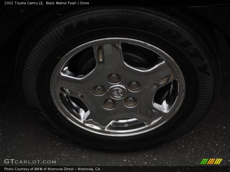 Black Walnut Pearl / Stone 2002 Toyota Camry LE