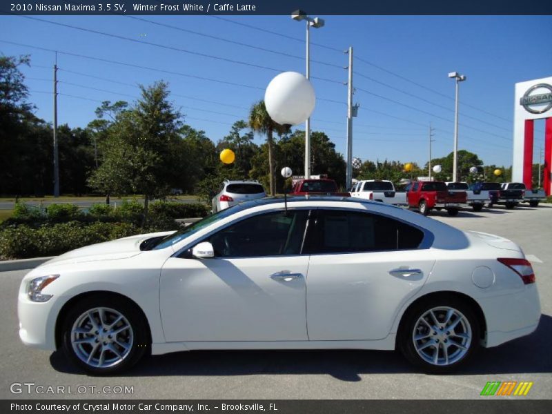 Winter Frost White / Caffe Latte 2010 Nissan Maxima 3.5 SV