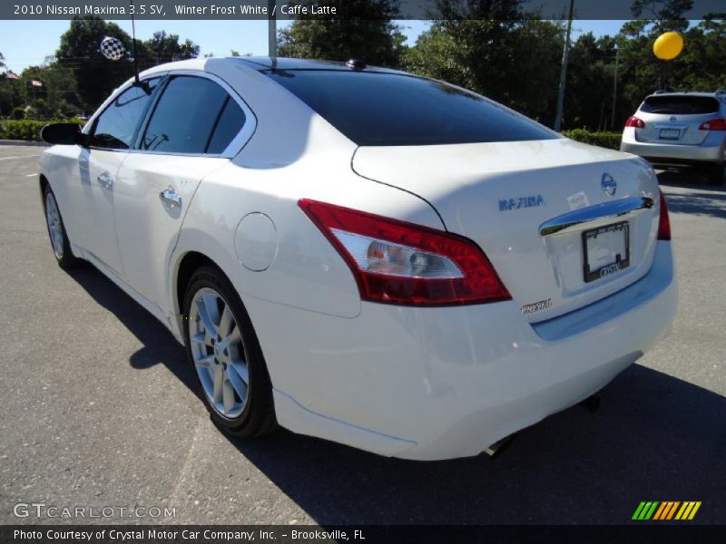 Winter Frost White / Caffe Latte 2010 Nissan Maxima 3.5 SV