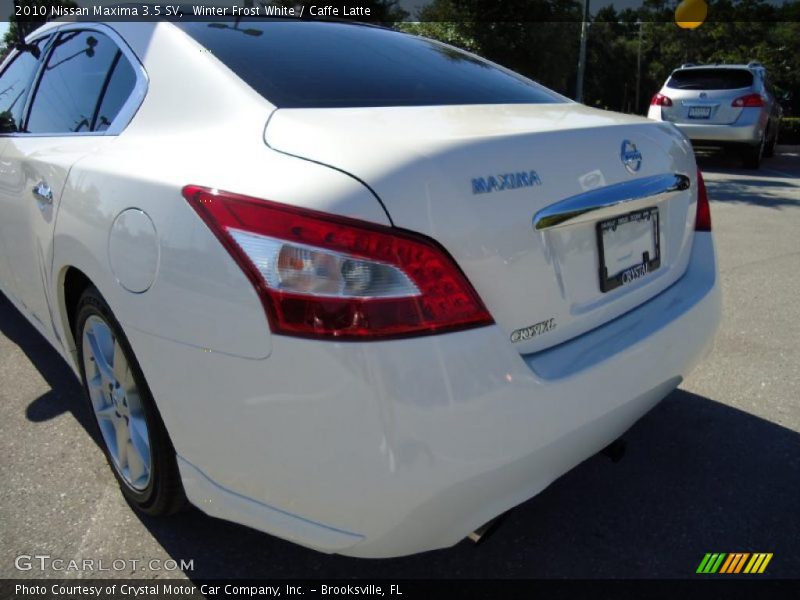 Winter Frost White / Caffe Latte 2010 Nissan Maxima 3.5 SV
