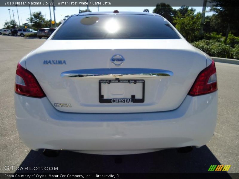 Winter Frost White / Caffe Latte 2010 Nissan Maxima 3.5 SV