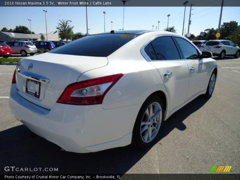 Winter Frost White / Caffe Latte 2010 Nissan Maxima 3.5 SV