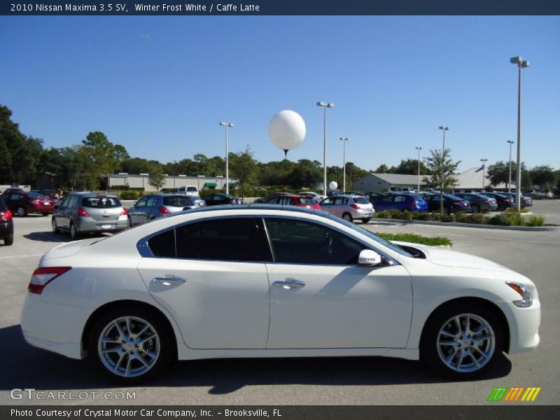 Winter Frost White / Caffe Latte 2010 Nissan Maxima 3.5 SV