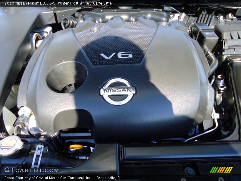 Winter Frost White / Caffe Latte 2010 Nissan Maxima 3.5 SV