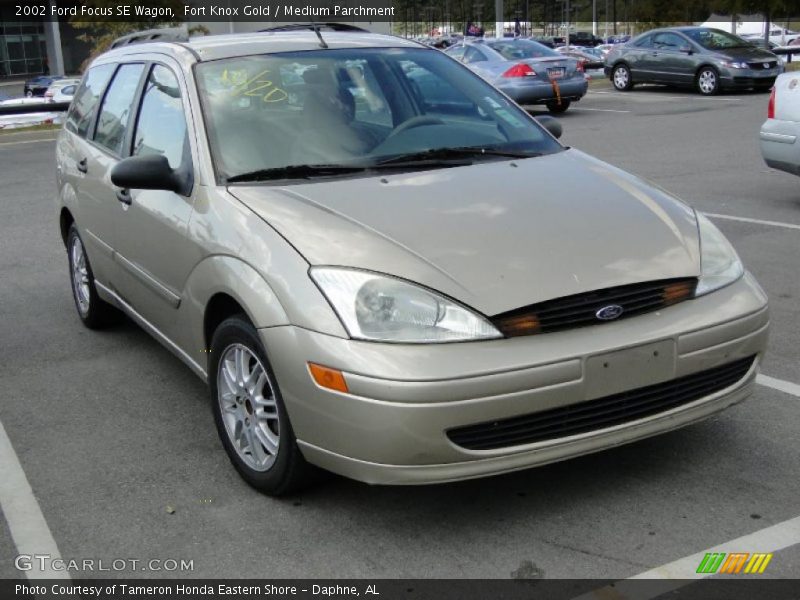 Fort Knox Gold / Medium Parchment 2002 Ford Focus SE Wagon