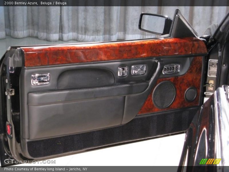 Door Panel of 2000 Azure 