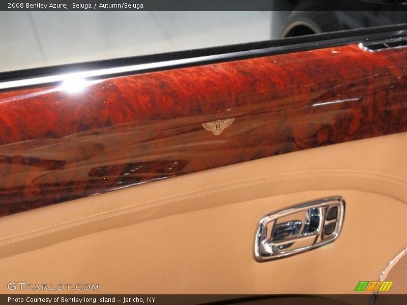 Door Panel of 2008 Azure 