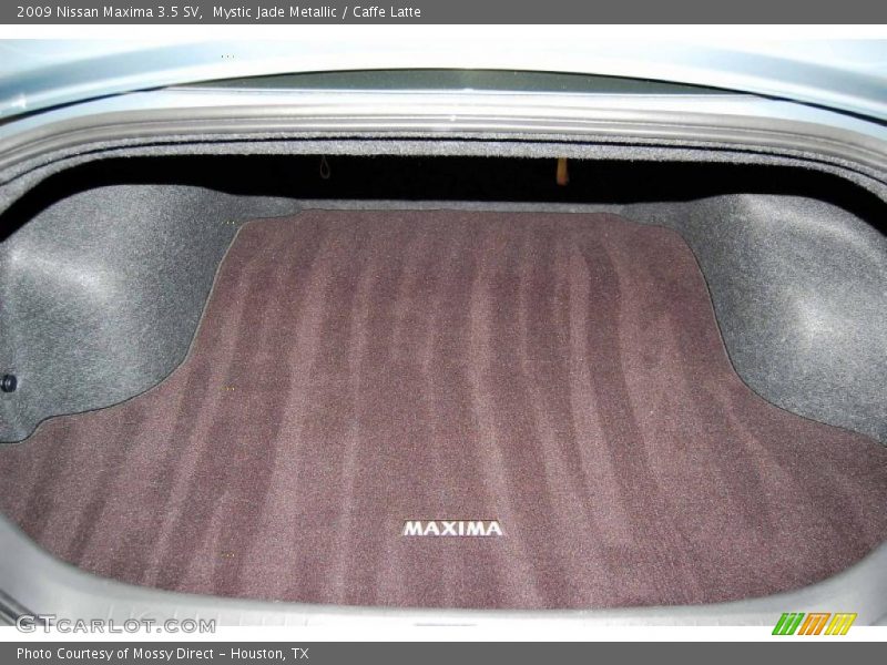 Mystic Jade Metallic / Caffe Latte 2009 Nissan Maxima 3.5 SV