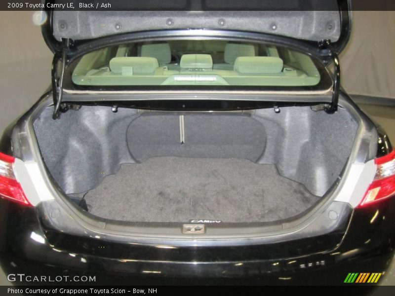 Black / Ash 2009 Toyota Camry LE