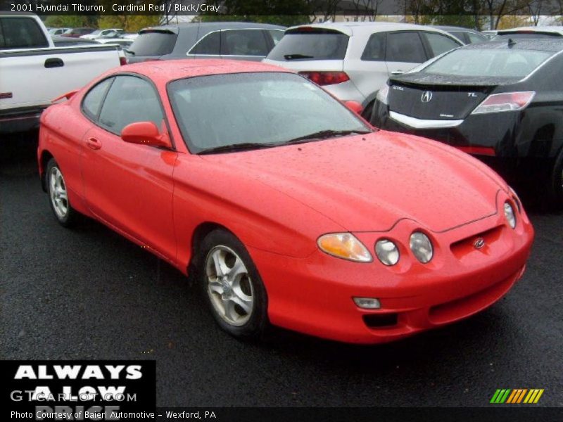 Cardinal Red / Black/Gray 2001 Hyundai Tiburon