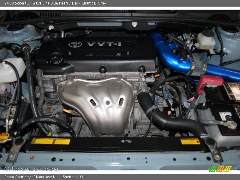 Wave Line Blue Pearl / Dark Charcoal Gray 2008 Scion tC
