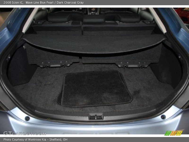 Wave Line Blue Pearl / Dark Charcoal Gray 2008 Scion tC