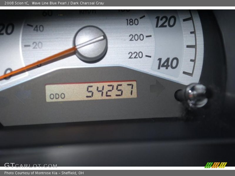 Wave Line Blue Pearl / Dark Charcoal Gray 2008 Scion tC