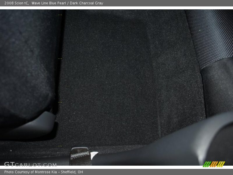 Wave Line Blue Pearl / Dark Charcoal Gray 2008 Scion tC