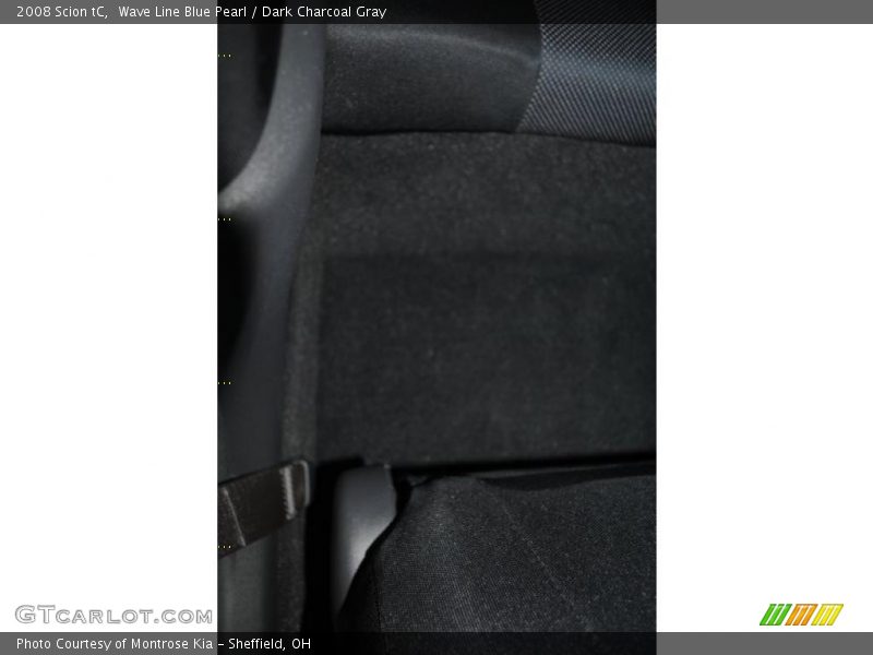 Wave Line Blue Pearl / Dark Charcoal Gray 2008 Scion tC