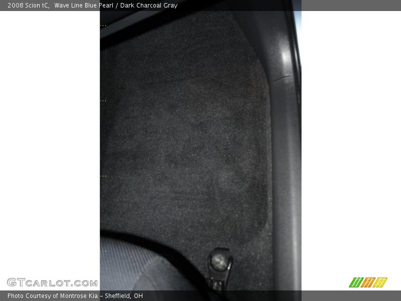 Wave Line Blue Pearl / Dark Charcoal Gray 2008 Scion tC
