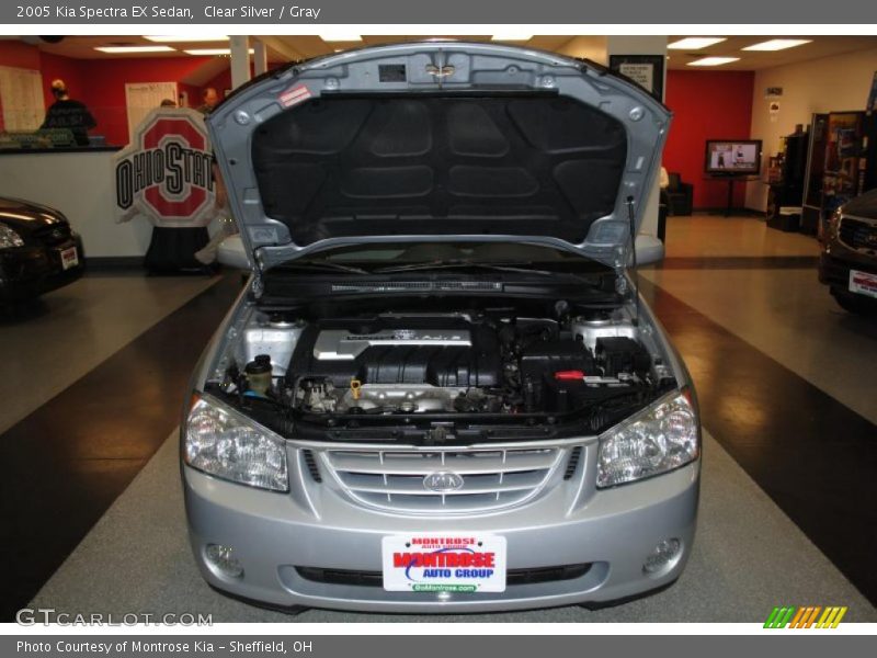 Clear Silver / Gray 2005 Kia Spectra EX Sedan