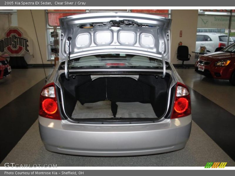 Clear Silver / Gray 2005 Kia Spectra EX Sedan