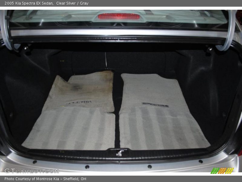 Clear Silver / Gray 2005 Kia Spectra EX Sedan