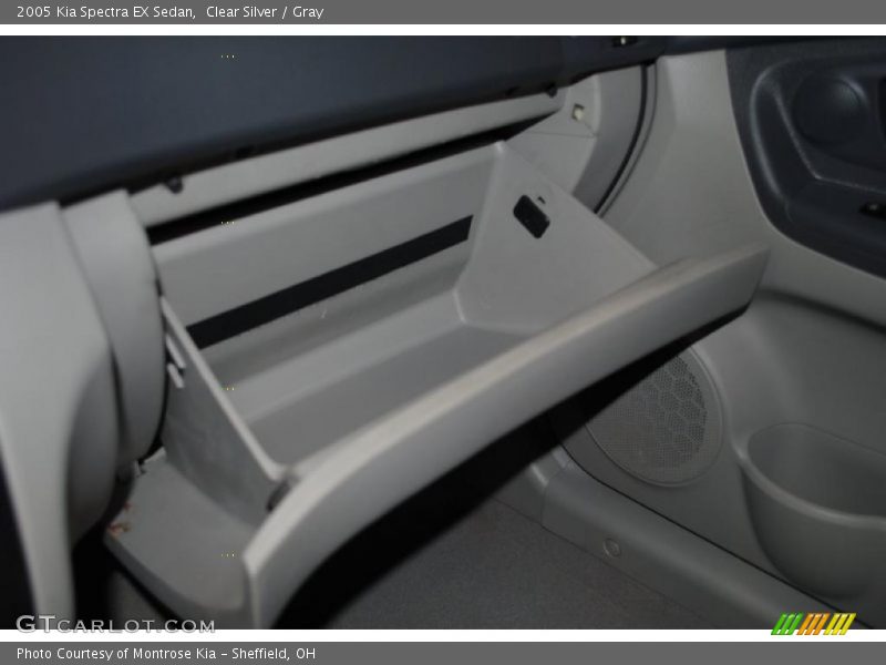 Clear Silver / Gray 2005 Kia Spectra EX Sedan