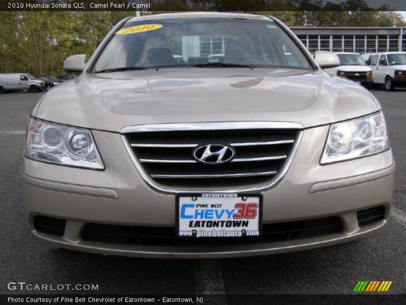 Camel Pearl / Camel 2010 Hyundai Sonata GLS