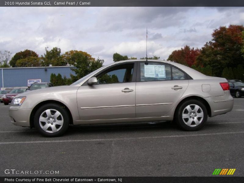 Camel Pearl / Camel 2010 Hyundai Sonata GLS