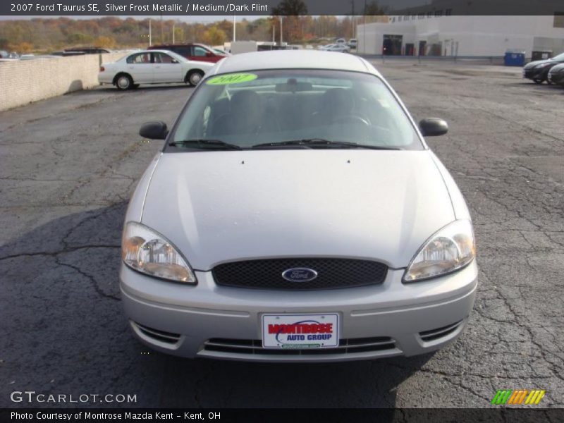 Silver Frost Metallic / Medium/Dark Flint 2007 Ford Taurus SE